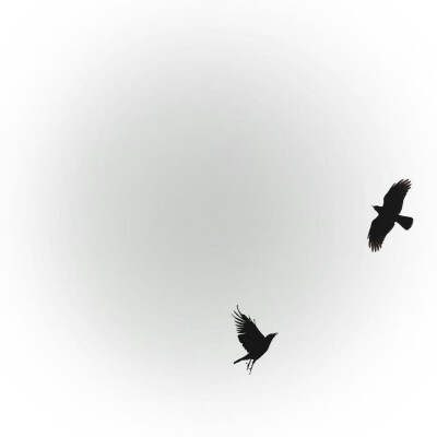 pyq背景/壁纸
//侵删