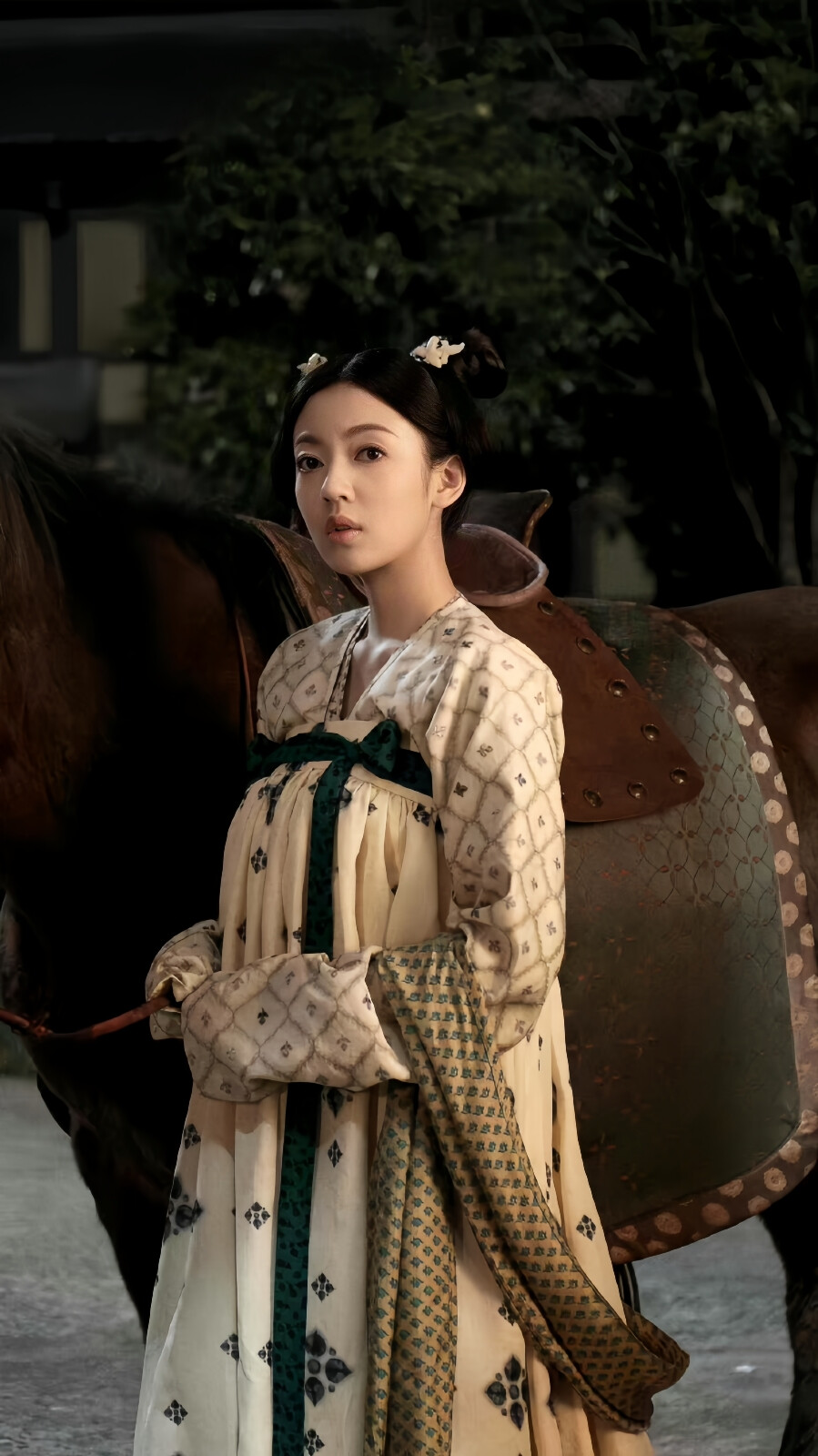 骊歌行陆盈盈何瑞贤