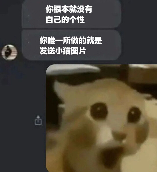 离了小猫地球怎么转