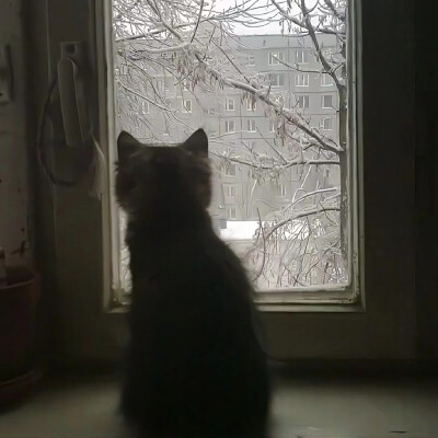 pyq背景/壁纸
//侵删