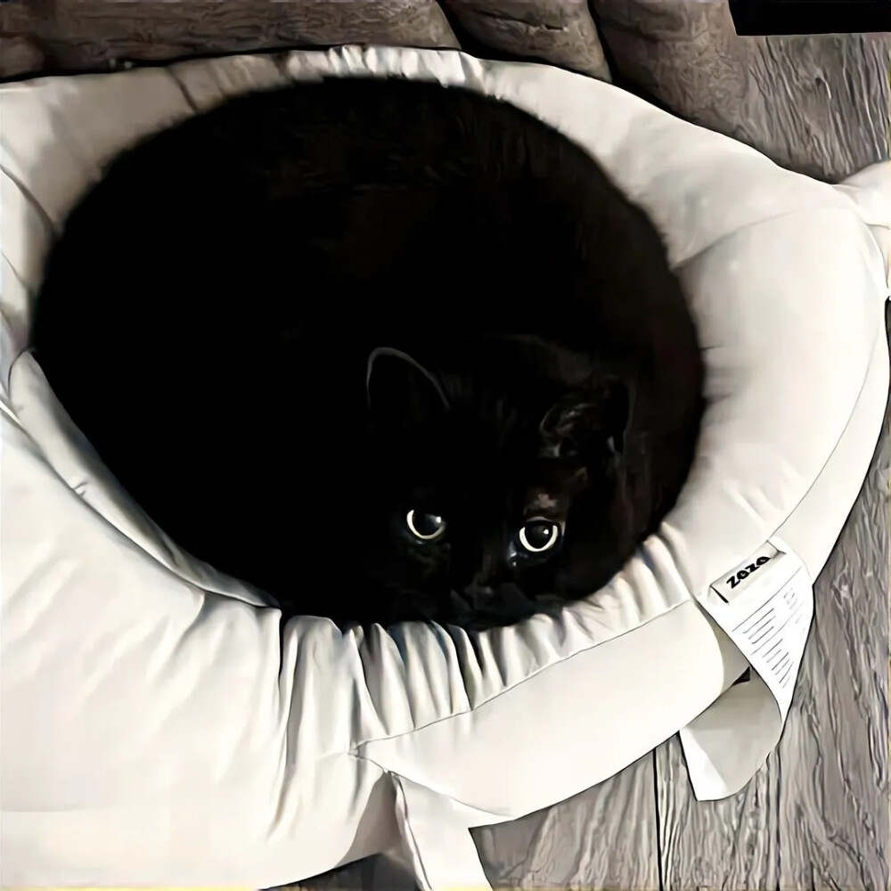 背景 cr.网络 侵删