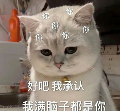 Share｜搞笑猫咪表情包
-
泡面需要三分钟而你泡我需要吃三年泡面。