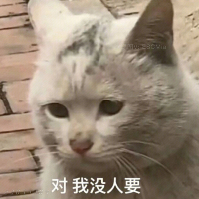 Share｜搞笑猫咪表情包
-
泡面需要三分钟而你泡我需要吃三年泡面。