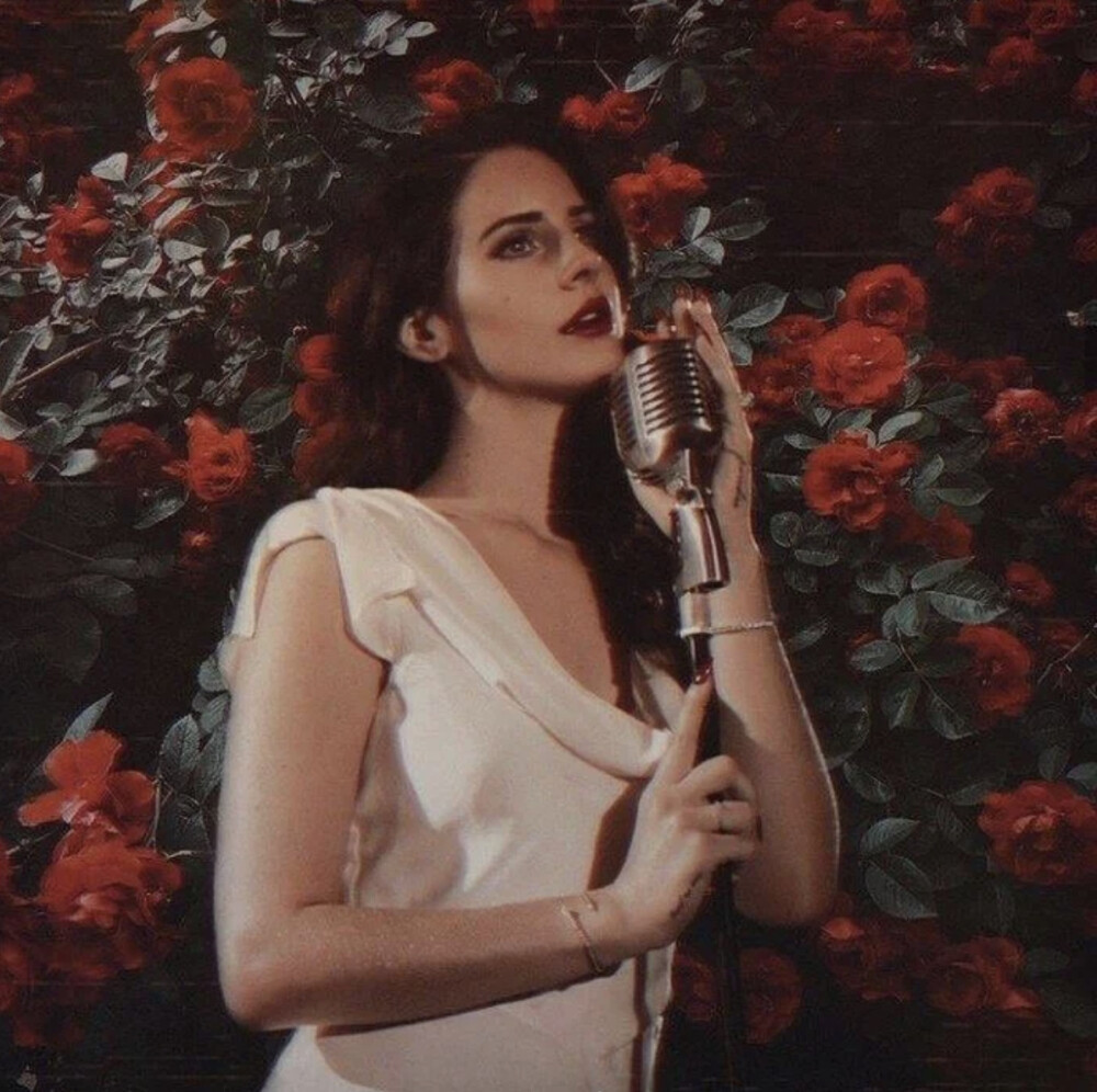 打雷姐lana del rey
