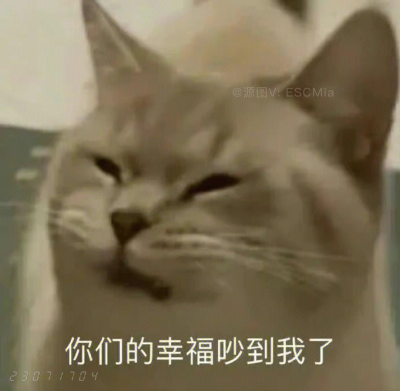 Share｜搞笑猫咪表情包
-
泡面需要三分钟而你泡我需要吃三年泡面。