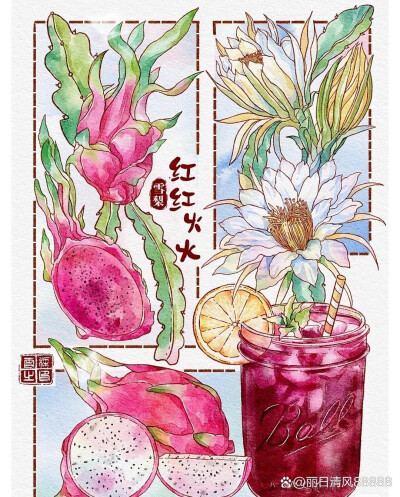 分镜式插画作品｜夏日水果冰饮