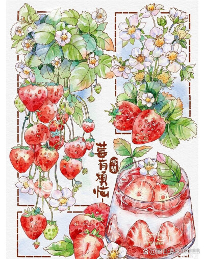 分镜式插画作品｜夏日水果冰饮