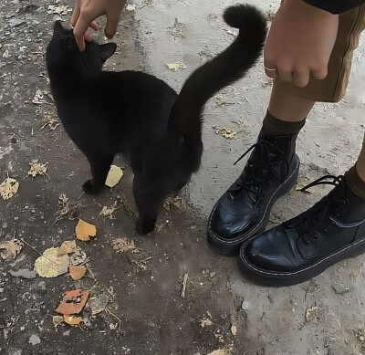 黑