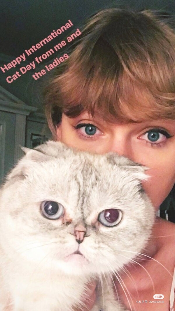 Taylor Swift
泰勒斯威夫特
霉霉
壁纸头像