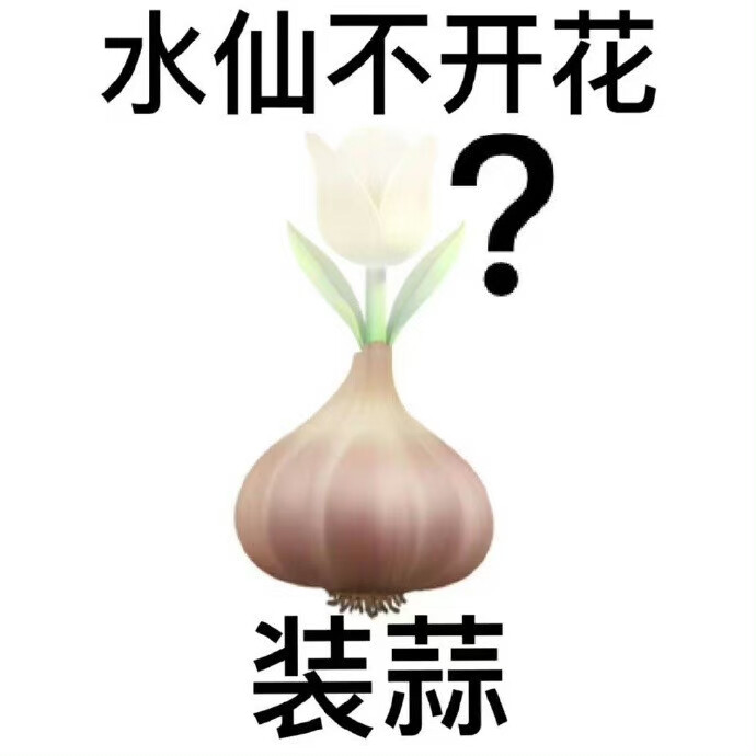 表情包 阴阳怪气