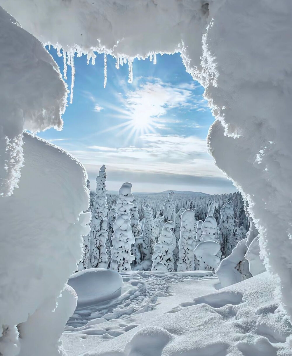 雪景