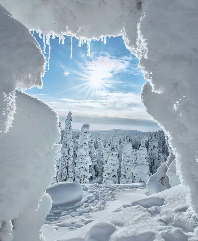 雪景