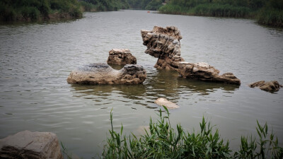 城市的浪漫悠闲。不同的城市，不同的乡镇，都有着不同的地理环境；各自都有值得人们留恋往返的美好瞬间。我是大港人，我爱大港，爱这里的人土风情。湿地公园就是一处休闲游乐的好地方，每次来到这里都有一种，故地重…