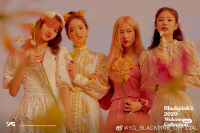 Black pink集体照片