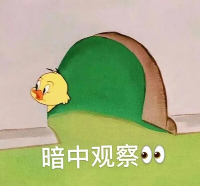 表情包(⊙o⊙)