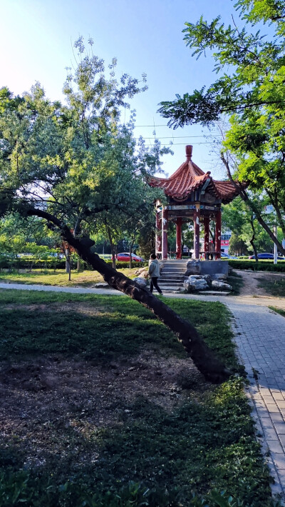 日常生活平淡，悠闲开心快乐。不同的城市，不同的乡镇，都有着不同的地理环境，每个人都有自己的爱好。有着不一样的爱好，就有了不一样的乐趣。几十年不同的生活经历，从适应到习惯再到喜欢，人的一生就这么简单。平…