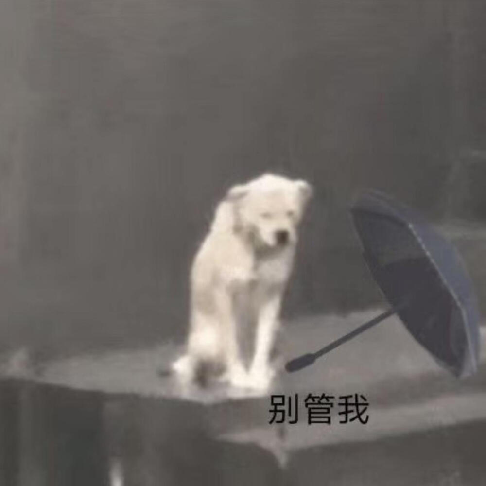 雨