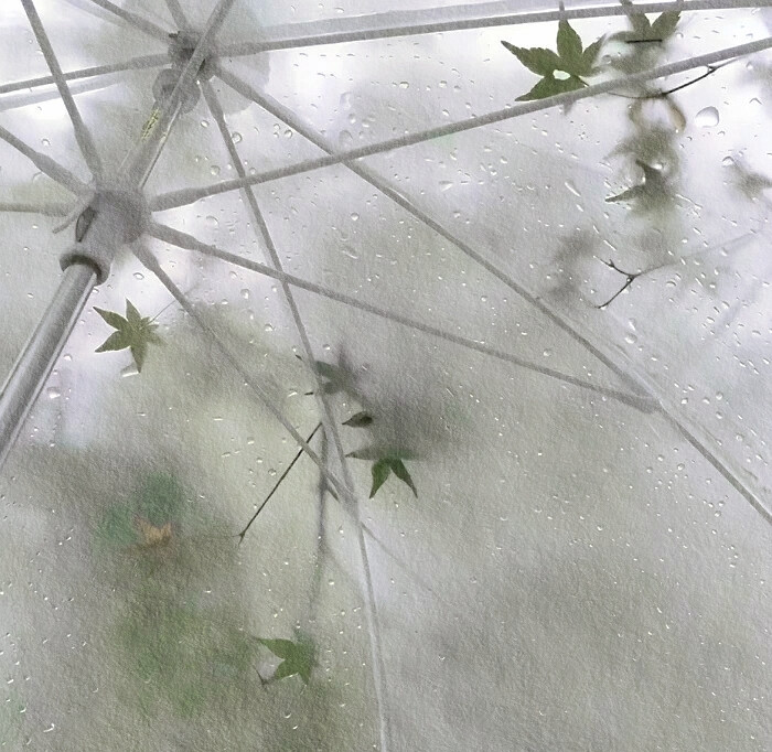 稀释センチ/“Umbrella不再落雨”