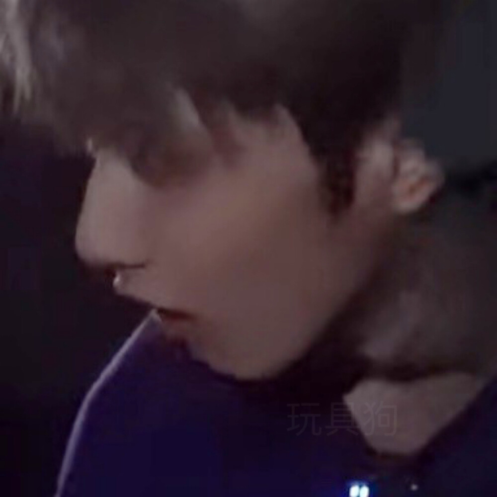 莲