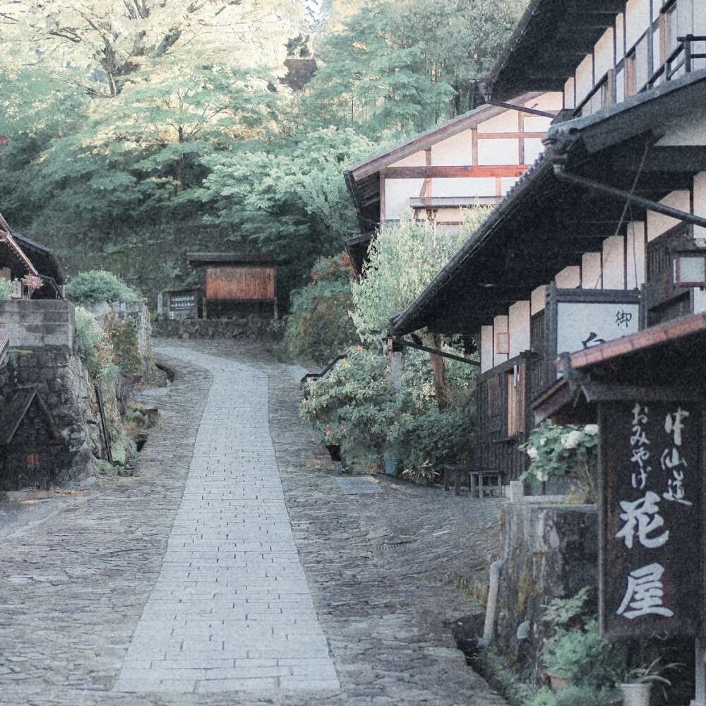 「 看那山河远阔 听那青火的呐喊 」