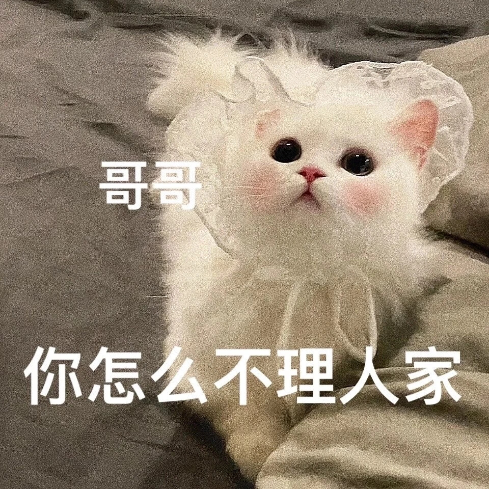 猫咪撩人表情包