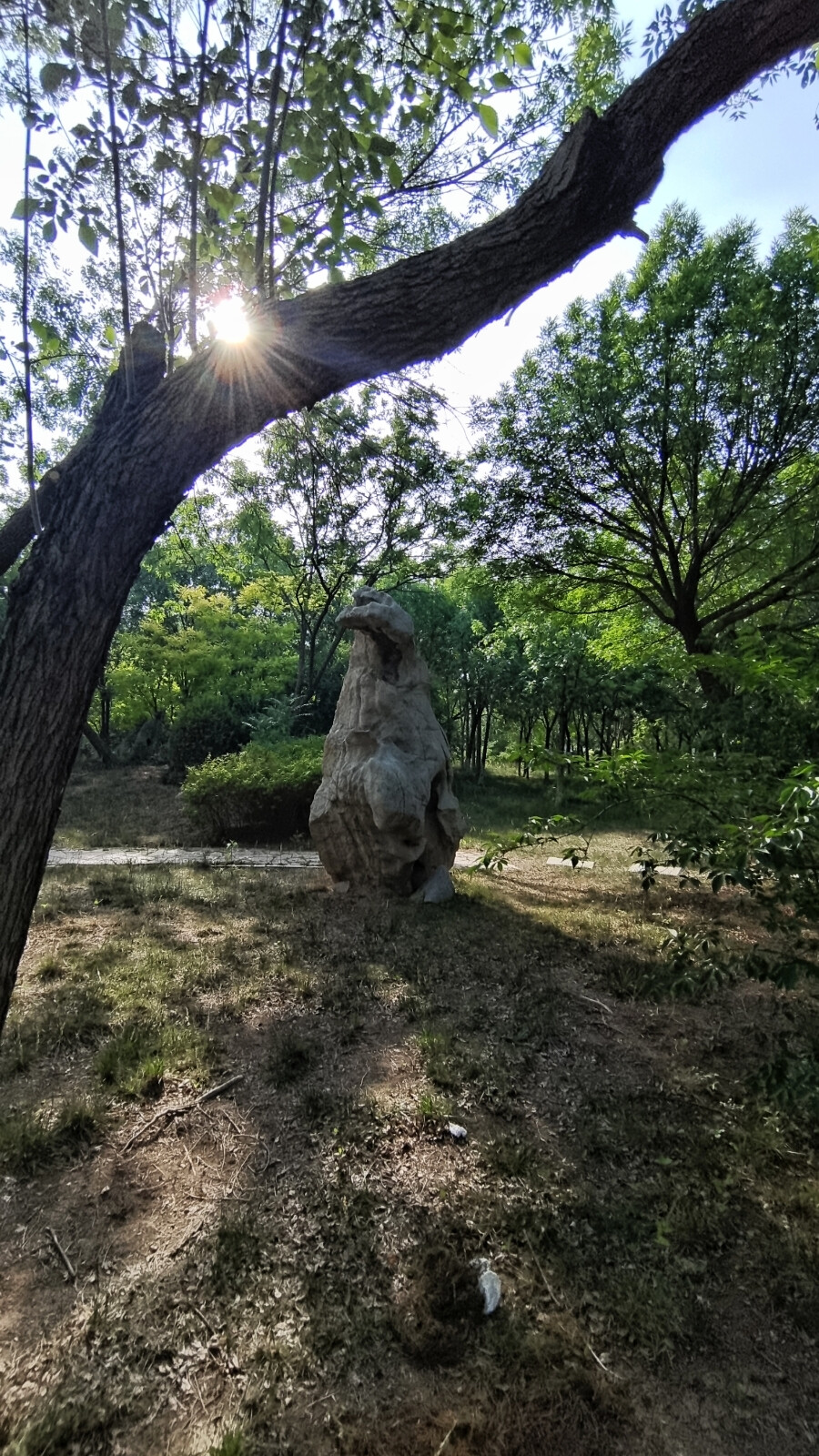 其用意，其会话，均以纤巧胜。看着阳光照射绿荫后，在地面上明的光暗的影，好是散射。树荫下明亮的人行道在貌似企鹅的身后，由北向南。蓝天上挂着一轮炽热的太阳，夏日里的太阳就像火球一样炎热，又像黄金一样金光闪闪。太阳在树杈、枝叶的遮挡下，形成一束星芒光盛势耀眼。