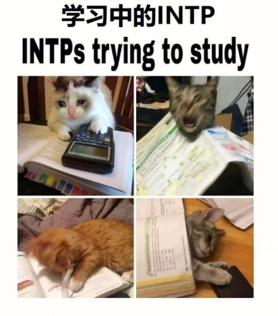 INTP