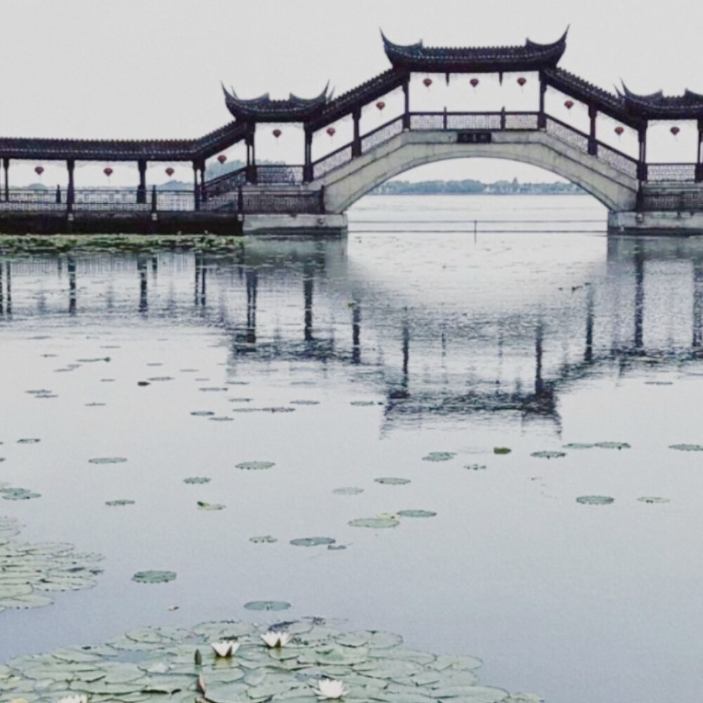 春風又綠江南岸