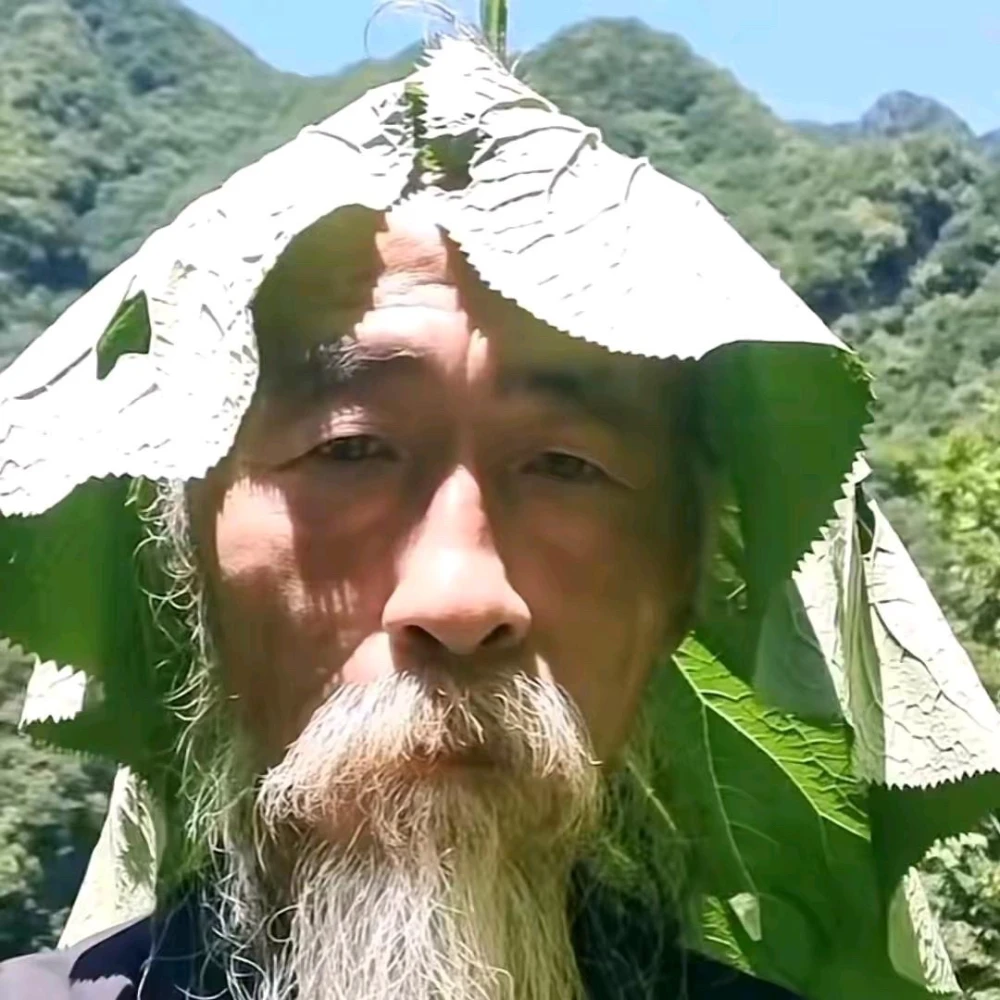 道长清凉头像