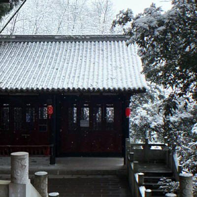 春風(fēng)又綠江南岸