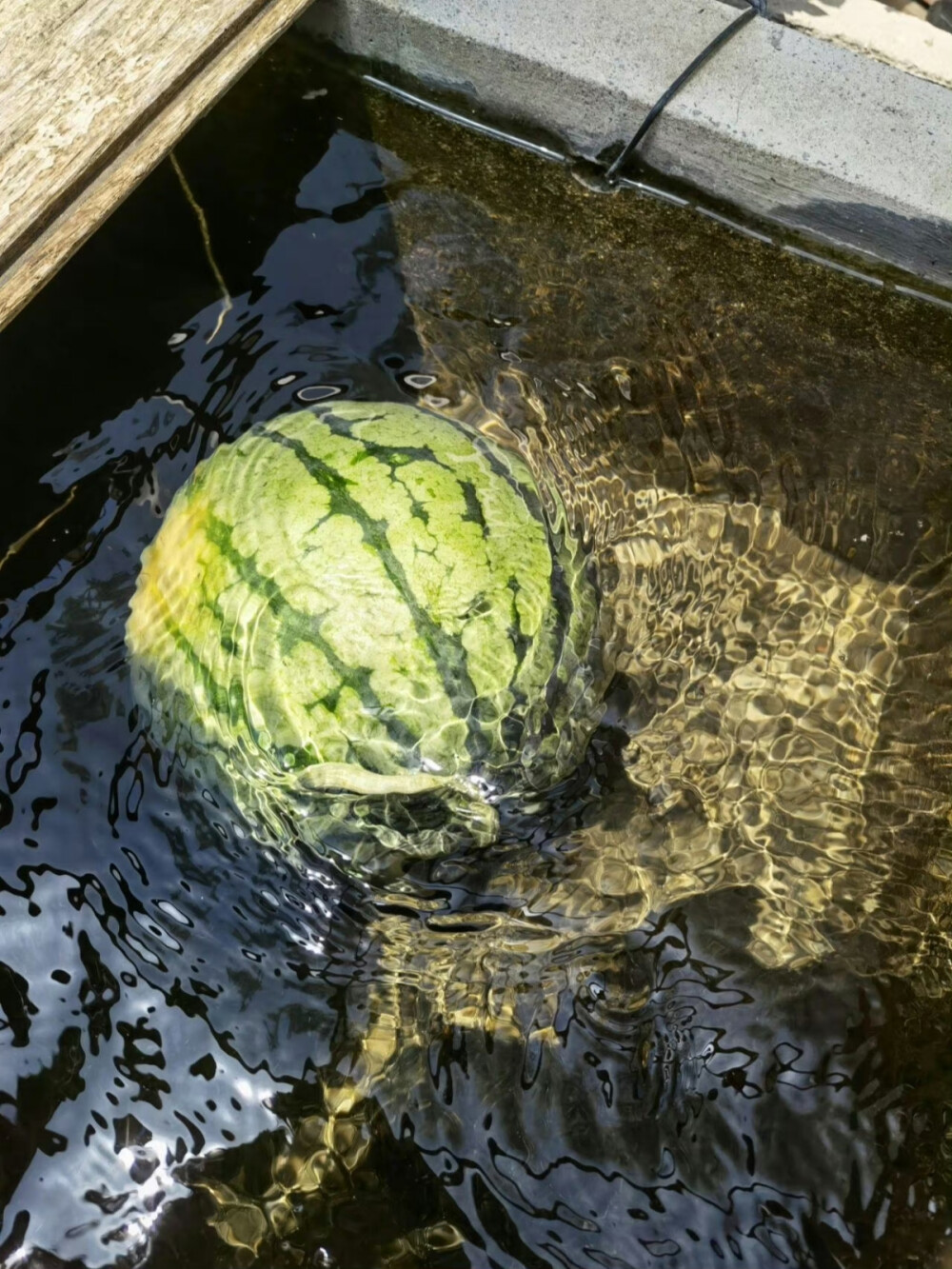 我们共振过的夏天 ​​​
#夏日壁纸##朋友圈背景图#