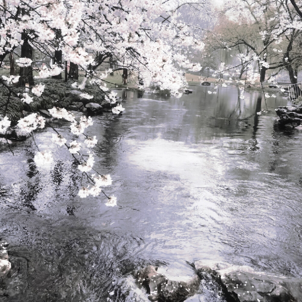 気分が悪くて、雨に濡れるのに適しています^