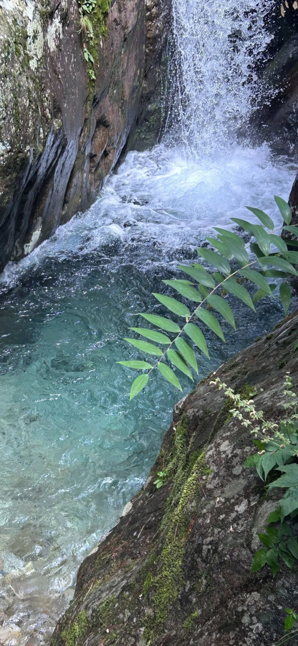 夏日专属