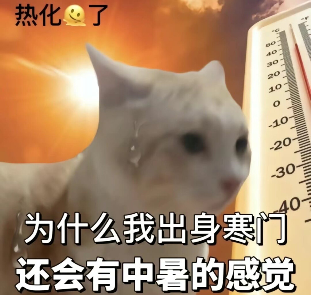 搞怪表情包