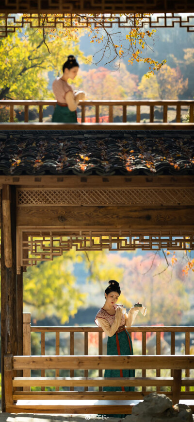 #苏州约拍#
人烟寒橘柚，
秋色老梧桐。
摄影：@不枳-
模特：@我是金儿呀
妆造：@时溶溶_
服装：@青泠谷汉服工作室
#上海约拍##南京约拍##杭州约拍##嘉兴约拍##苏州约拍##无锡约拍##北京约拍##汉服商拍##汉服…