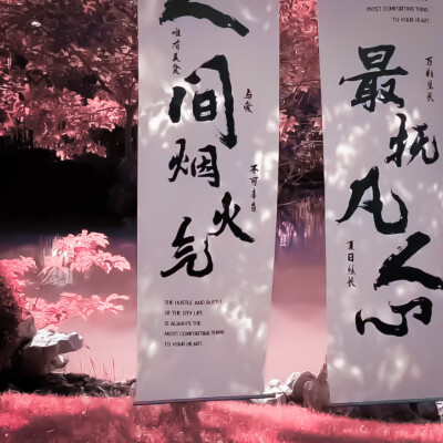 情绪失重"Pas de nuit...蓝色灰