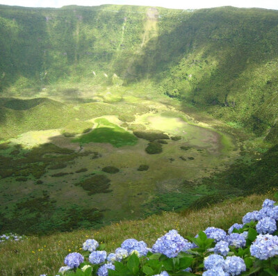 夏日专属