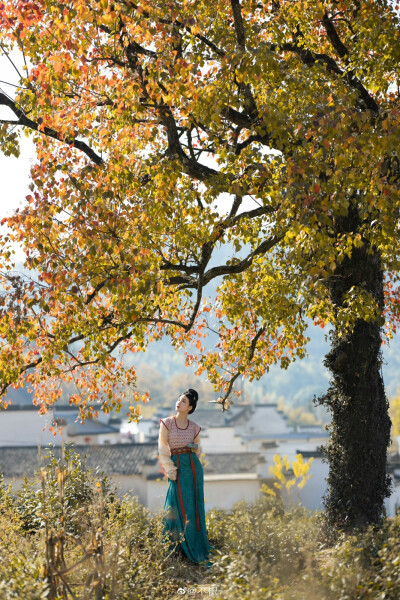 #苏州约拍#
人烟寒橘柚，
秋色老梧桐。
摄影：@不枳-
模特：@我是金儿呀
妆造：@时溶溶_
服装：@青泠谷汉服工作室
#上海约拍##南京约拍##杭州约拍##嘉兴约拍##苏州约拍##无锡约拍##北京约拍##汉服商拍##汉服…