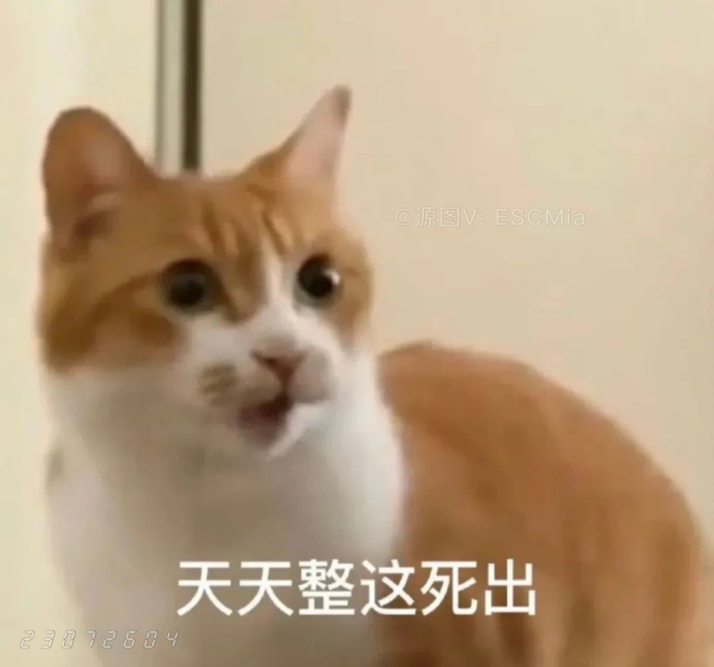 Share｜猫咪搞笑表情包
-
原来不是天花板漏水 而是我的眼泪