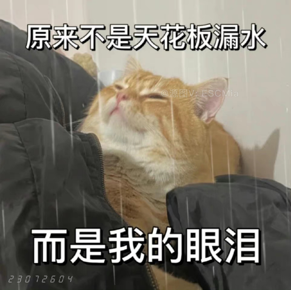 Share｜猫咪搞笑表情包
-
原来不是天花板漏水 而是我的眼泪