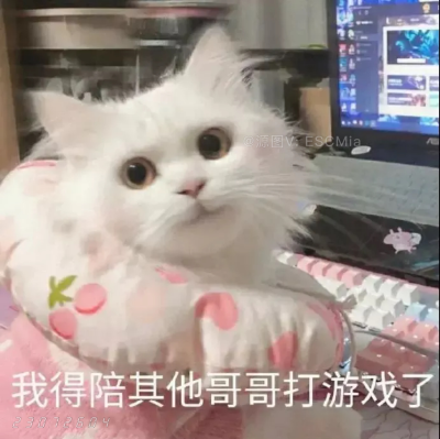 Share｜猫咪搞笑表情包
-
原来不是天花板漏水 而是我的眼泪