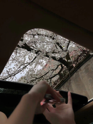 背景图