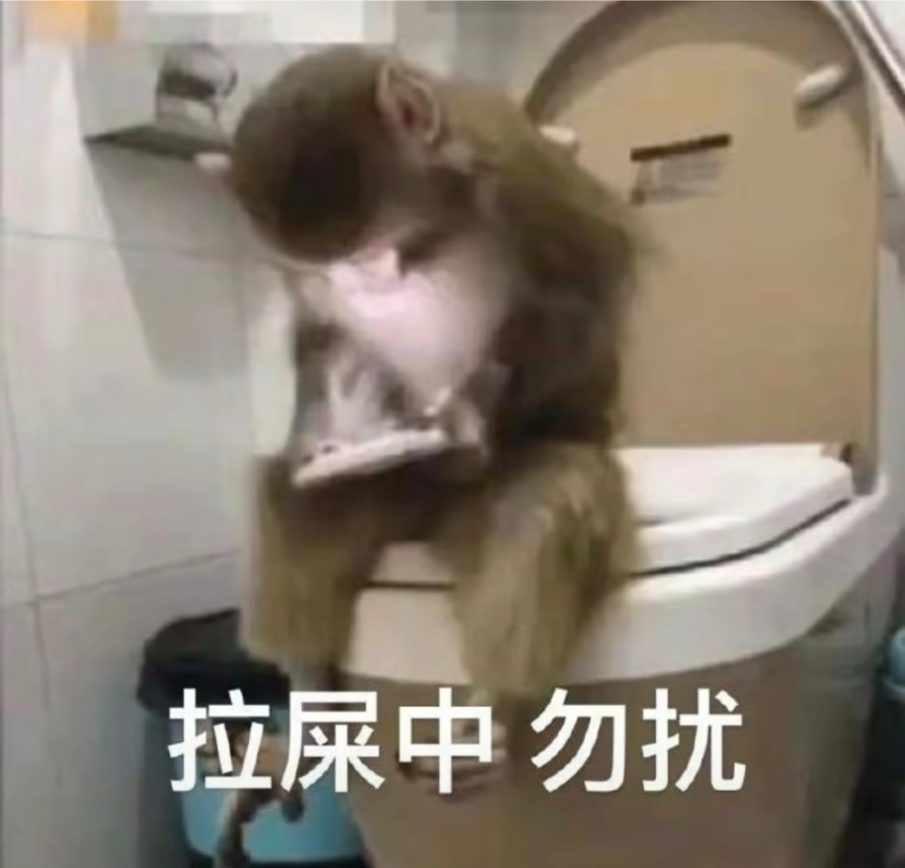 马喽表情包 