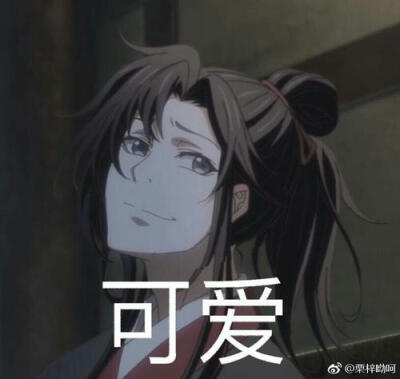 魔道祖师表情包