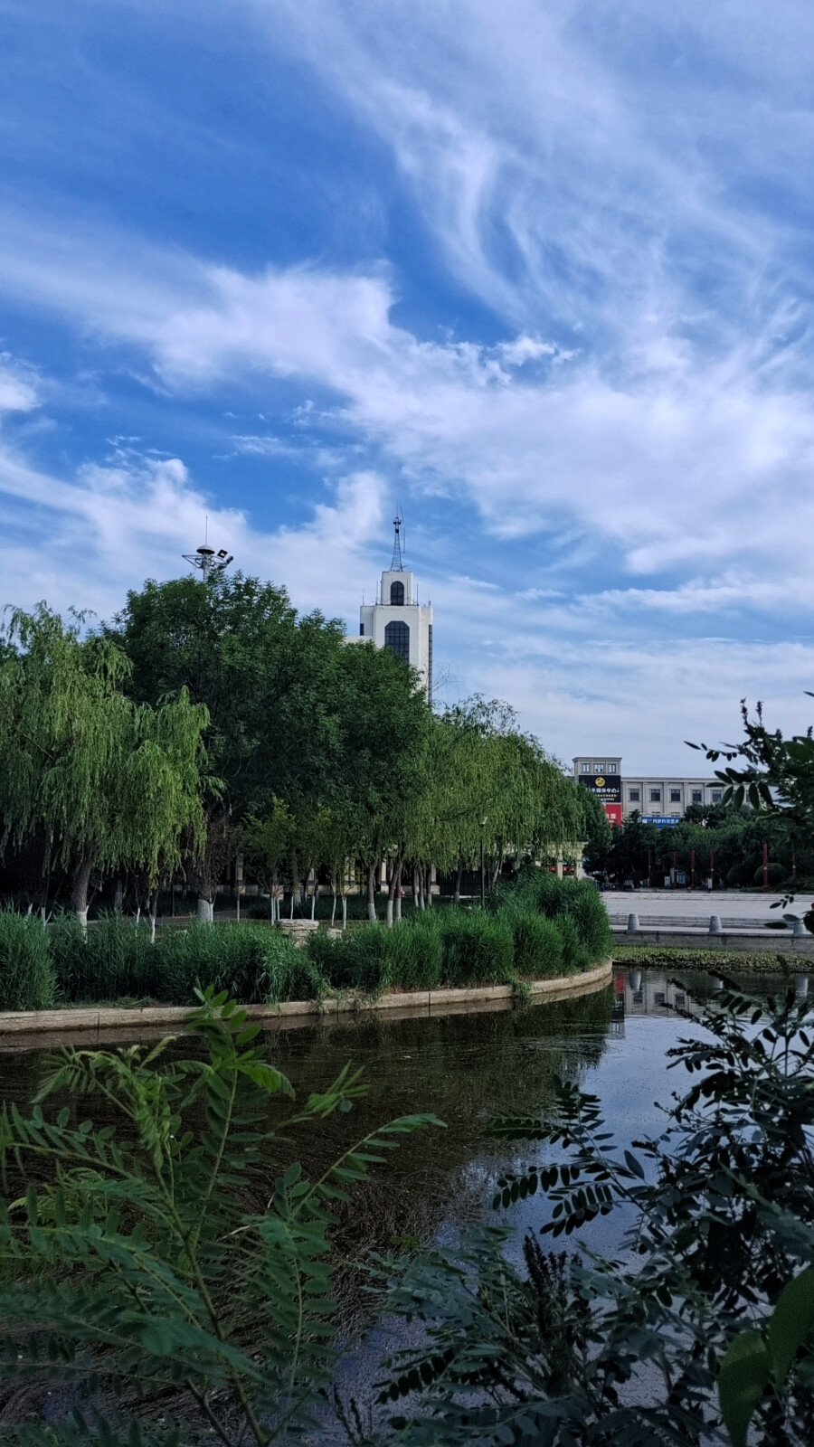 无可奈何花落去，似曾相识燕归来。落花风雨更伤春，不如怜取眼前人。黑发不知勤学早，白首方悔读书迟。过去的人生时光，去除工作几十年，无其他一技之长，吾今乃鬓发斑白。而今需要爱惜生活，善待身边的亲人，感情联络朋友要好。生活自由自在，随心所愿活出自我。