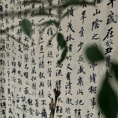 背景墙