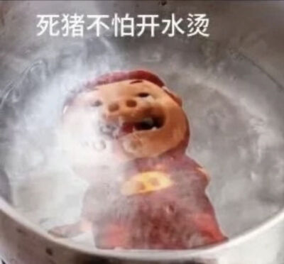 好久了回来了