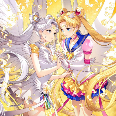 SailorMoon Cosmos 水手月亮与水手秩序