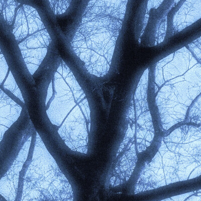 张元英 * 咔嚓咔嚓咔嚓咔嚓咔嚓biu~
©️Ayano_WonYoung 白菜