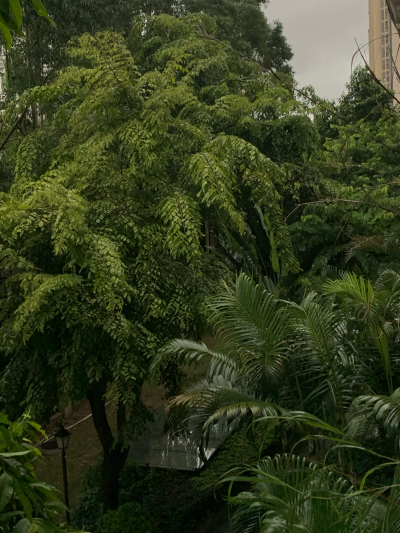 早，未来一周有雨～